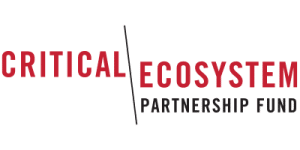CEPF logo